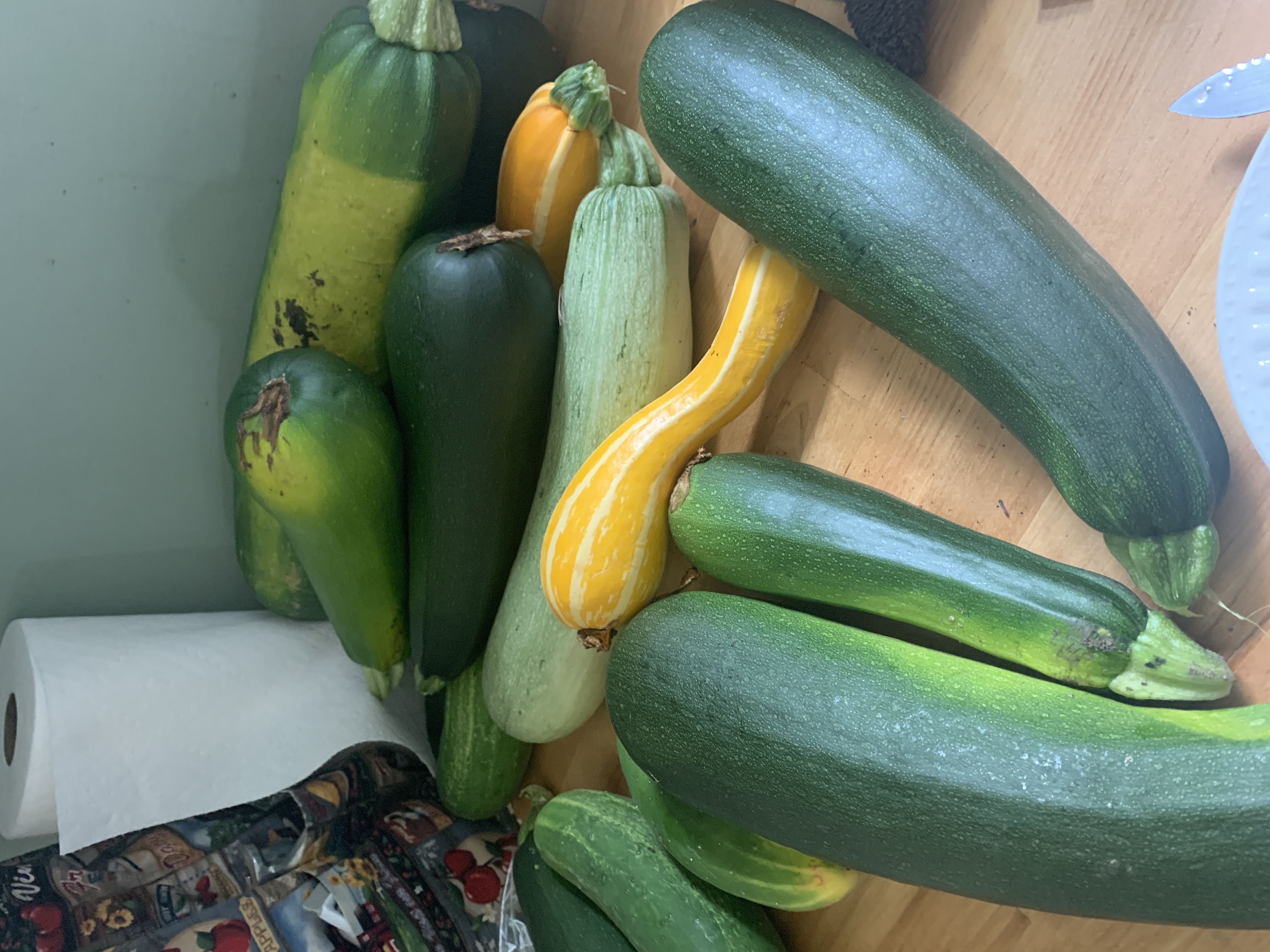 Harvest 2022